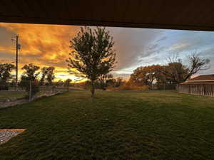 View of yard at dusk