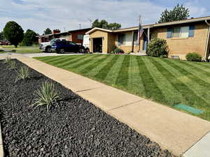 Xeriscaped parking strip