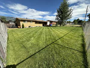 View of yard during the summer