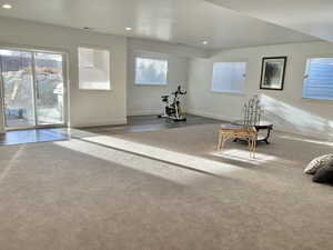 Workout area featuring carpet and a healthy amount of sunlight