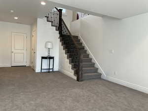 Staircase featuring carpet floors