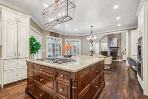 Kitchen with dark hardwood / wood-style flooring, ornamental molding, a fireplace, and appliances with stainless steel finishes