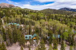 Aerial view with a mountain view