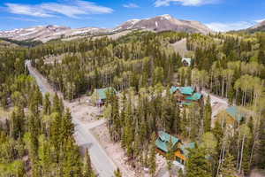 Birds eye view of property with a mountain view