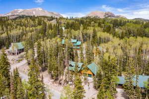 Bird's eye view with a mountain view