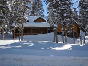 Log-style house with covered porch