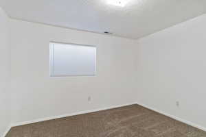 Empty room featuring carpet and a textured ceiling