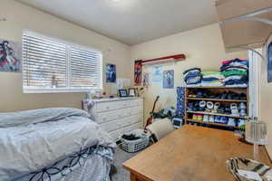 Bedroom with carpet