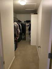 Spacious closet featuring carpet