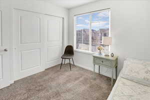 Bedroom featuring carpet and plenty of natural light