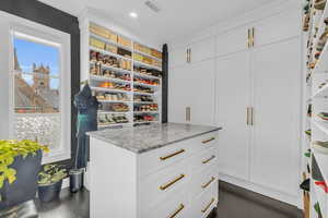 Spacious closet featuring dark wood-type flooring