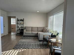 Living room featuring wood-type flooring and a textured ceiling