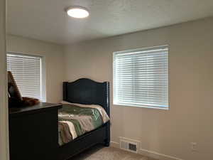 Carpeted bedroom featuring multiple windows