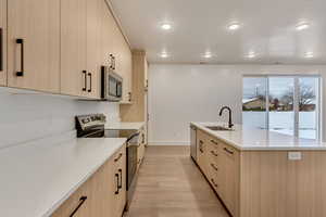 Kitchen with light brown cabinets, stainless steel appliances, and sink