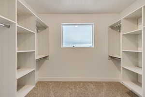 Walk in closet featuring light colored carpet