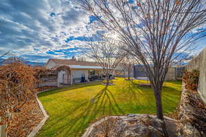 View of yard featuring a trampoline