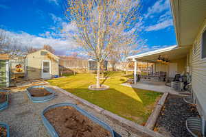 View of yard featuring ceiling fan, a patio area, and a trampoline