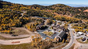 Aerial view with a mountain view