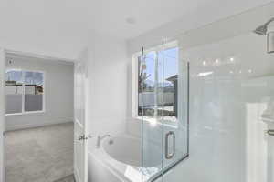 Bathroom with plenty of natural light and shower with separate bathtub