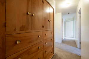 Plentiful built in cupboards in hallway