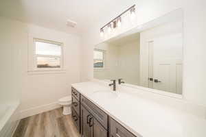 Bathroom with vanity, wood-type flooring, and toilet