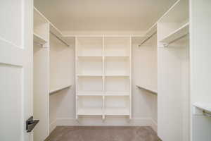 Walk in closet featuring carpet flooring