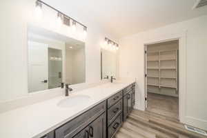 Bathroom featuring vanity and wood-type flooring