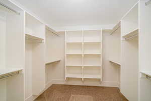 Walk in closet with carpet floors