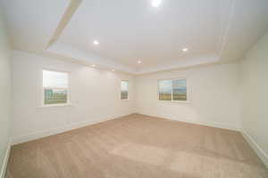 Carpeted empty room featuring crown molding, a wealth of natural light, and a tray ceiling