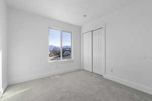 Unfurnished bedroom featuring a mountain view, a textured ceiling, light colored carpet, and a closet