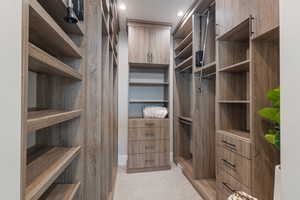 Spacious closet featuring light carpet