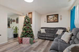 Living room featuring light wood-type flooring