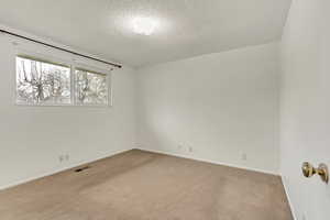 Spare room featuring light colored carpet and a textured ceiling