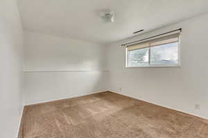 View of carpeted spare room