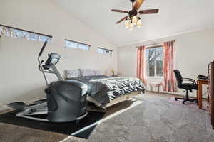 Carpeted bedroom with high vaulted ceiling and ceiling fan