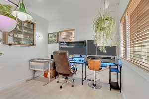 Home office with a wealth of natural light and hardwood / wood-style flooring