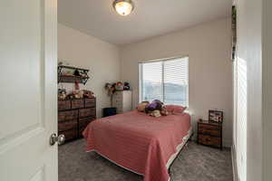 Bedroom featuring dark carpet