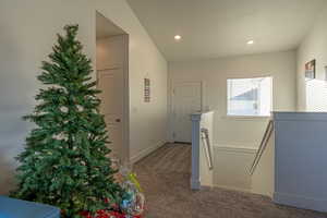 Laundry area with carpet floors