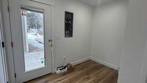 Entryway featuring hardwood / wood-style floors