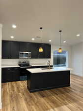 Kitchen featuring sink, hanging light fixtures, stainless steel appliances, light hardwood / wood-style floors, and a center island with sink