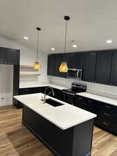 Kitchen with pendant lighting, an island with sink, sink, stainless steel appliances, and light hardwood / wood-style flooring