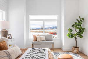 Sitting room with a mountain view and light hardwood / wood-style flooring