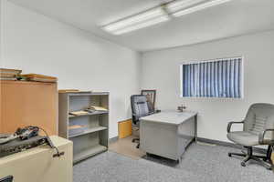 Office space with light carpet