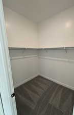 Walk in closet with carpet flooring