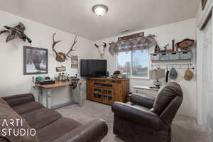 Living room featuring light carpet