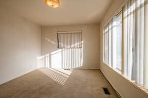 Carpeted spare room featuring a wealth of natural light