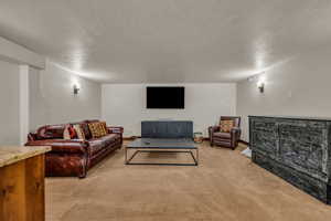 Living room featuring light carpet, a textured ceiling, and vaulted ceiling