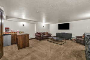 Carpeted living room with a textured ceiling