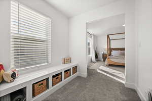 Bedroom with light colored carpet and multiple windows