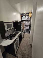 Kitchen featuring stovetop, carpet, and sink